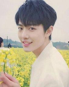 肖战圈内人爆料知乎视频,揭秘娱乐圈背后的真实故事